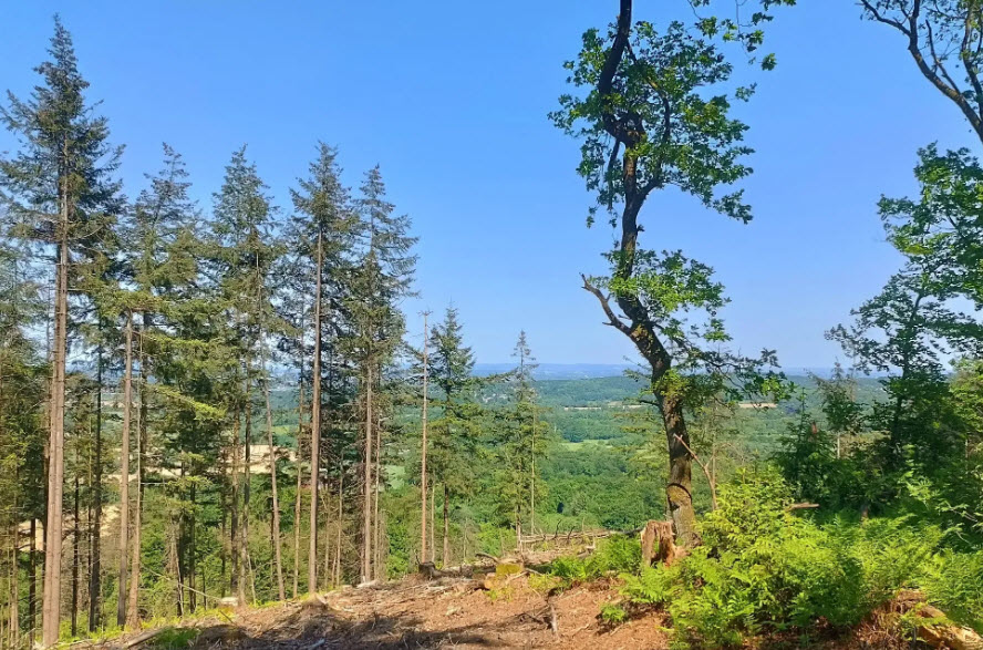 Burg Schönebürg, Germany